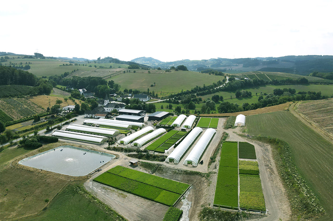 Baumschule_Muetherich_Niederlandenbeck_2022