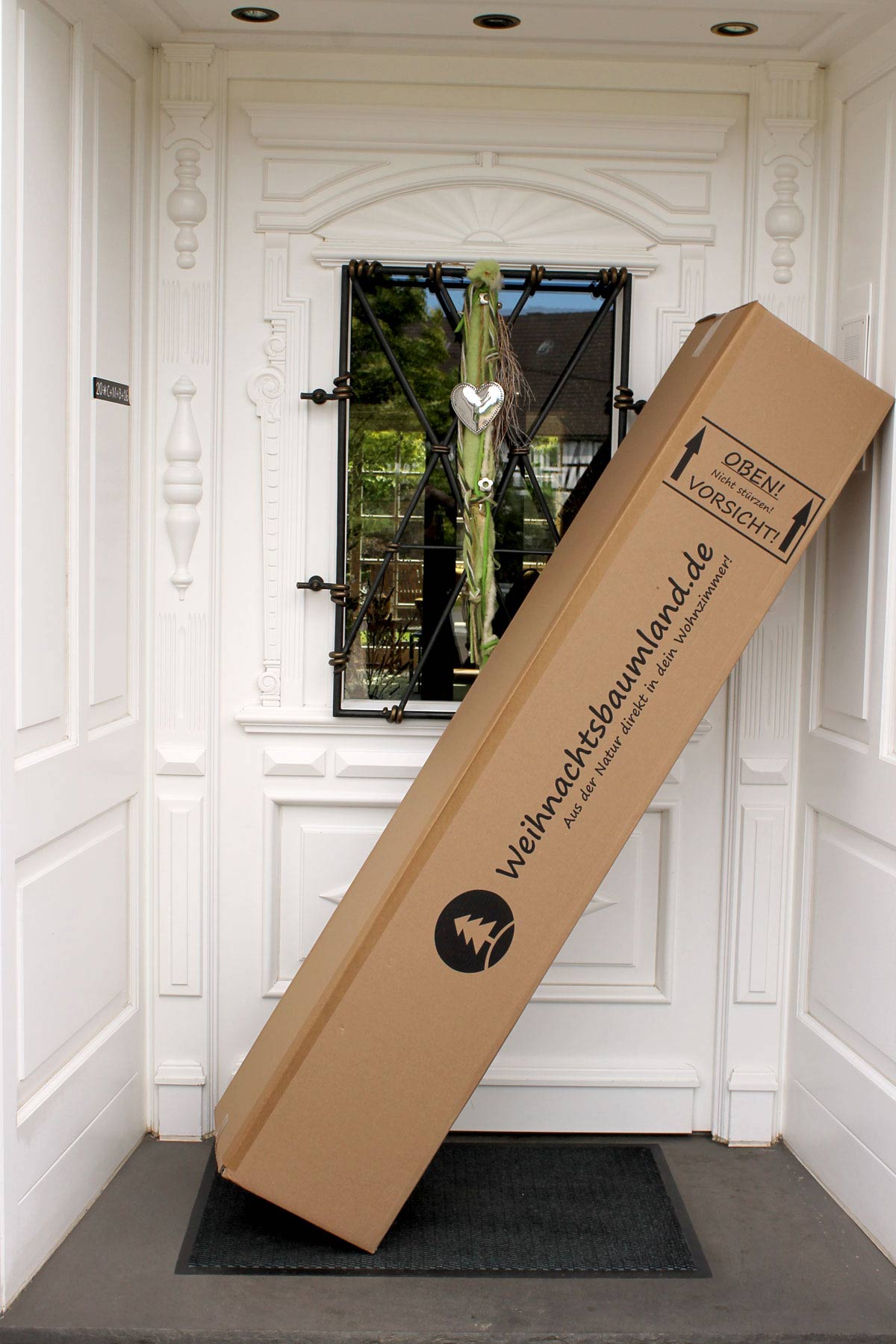 Verpackung echter Weihnachtsbaum im Karton, Lieferung zum Wunschtermin