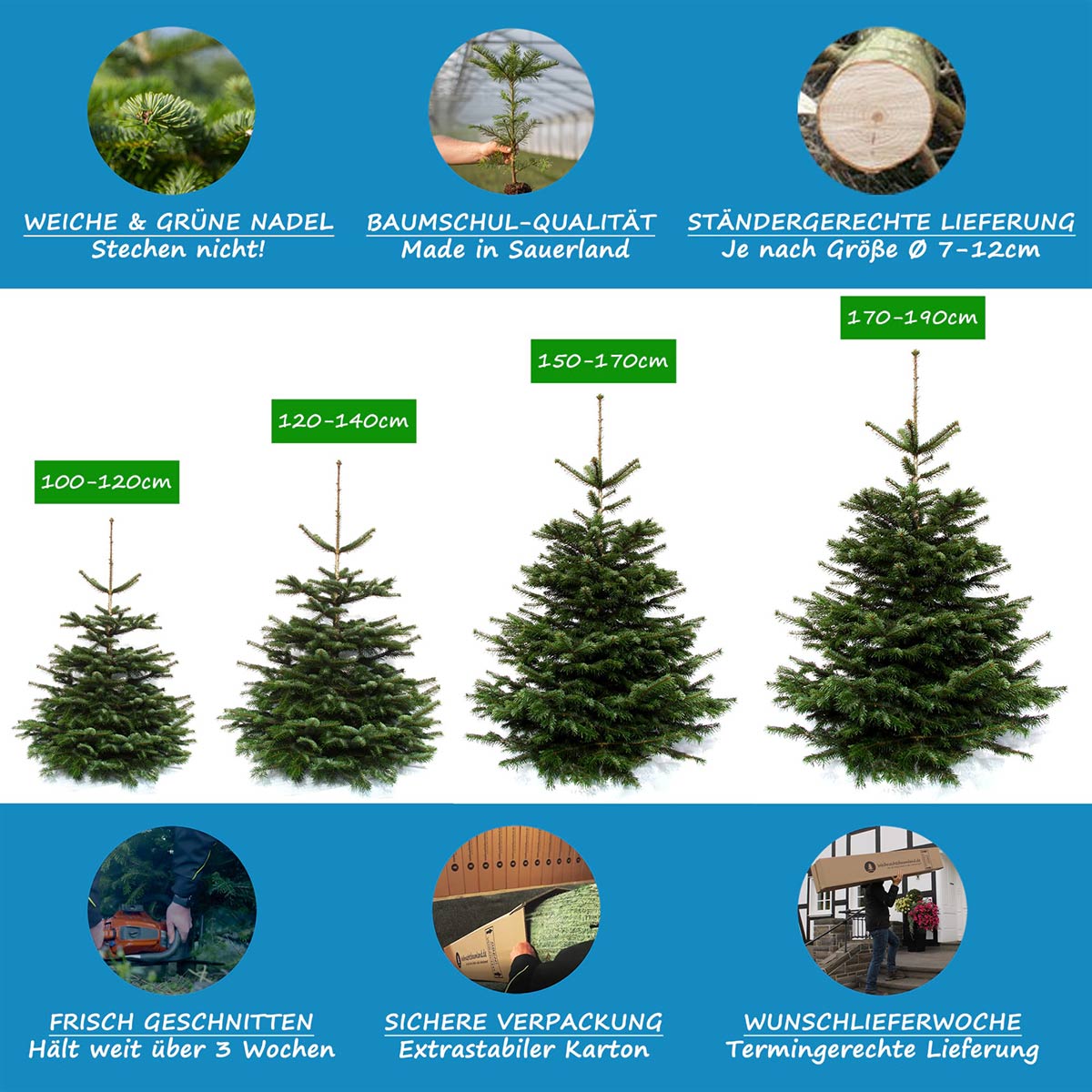Merkmale Weihnachtsbaumland Nordmanntanne, Baumschul-Qualität, Wunschlieferdatum, Sichere Verpackung, Frische & Qualität