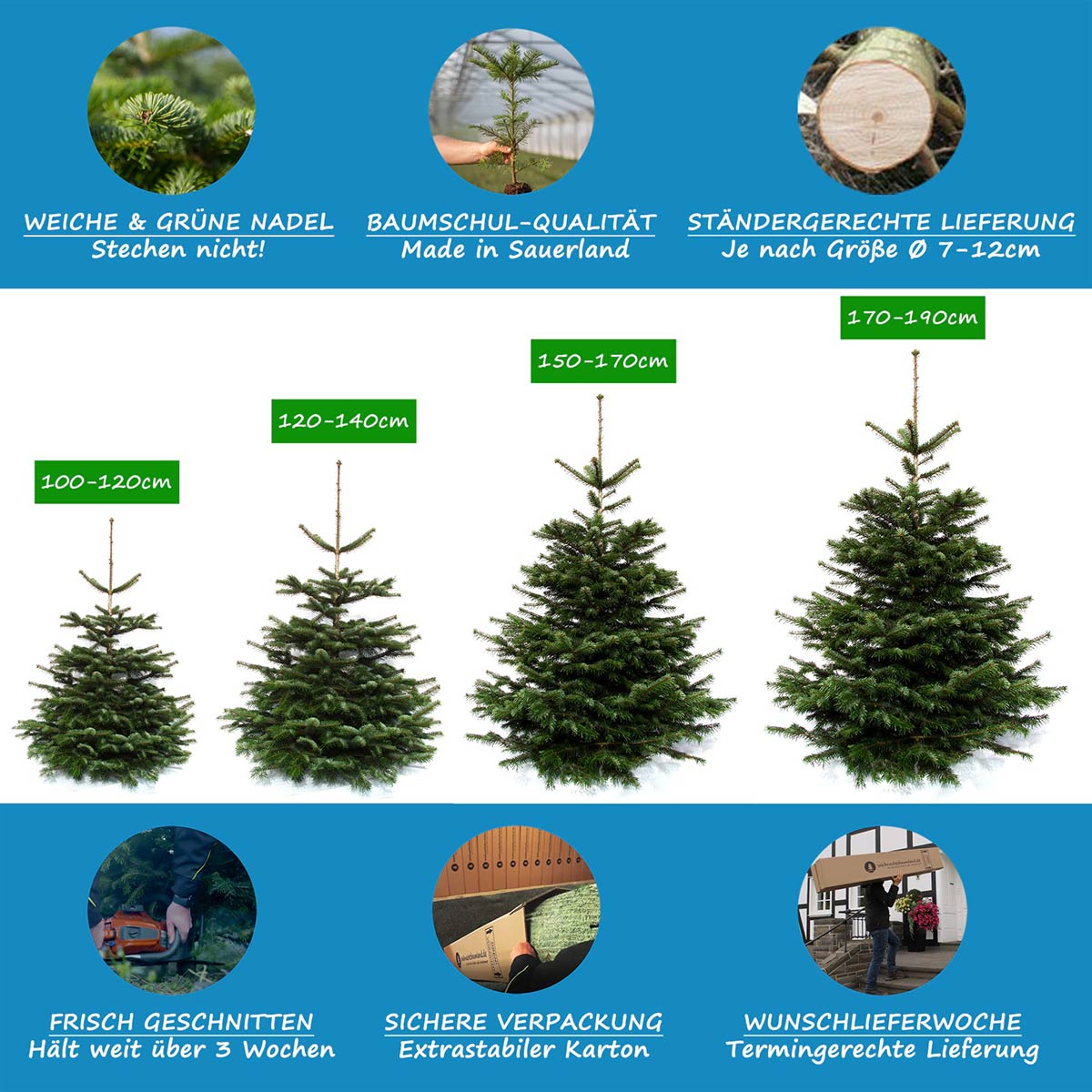 Weihnachtsbaum Nordmanntanne vorgebohrt für Easyfix | Weihnachtsbäume für  Easyfix | Nordmanntannen | Weihnachtsbaumland®